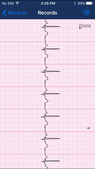 Beurer CardioExpert Ekran Görüntüleri