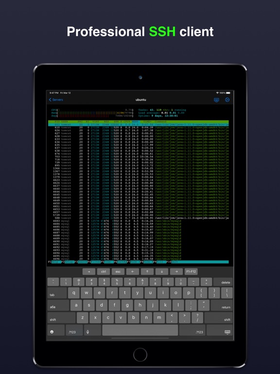 Terminal & SSH iPad 应用截图