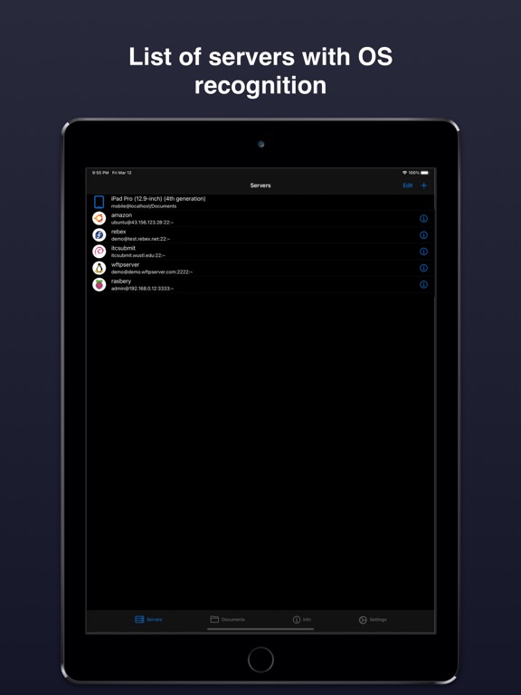 Terminal & SSH iPad 应用截图