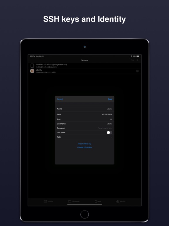 Terminal & SSH iPad 应用截图