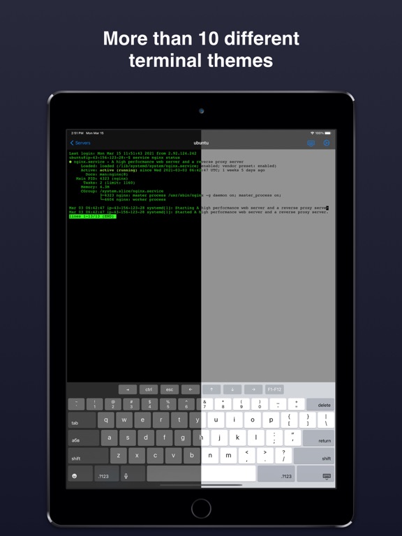 Terminal & SSH iPad 应用截图