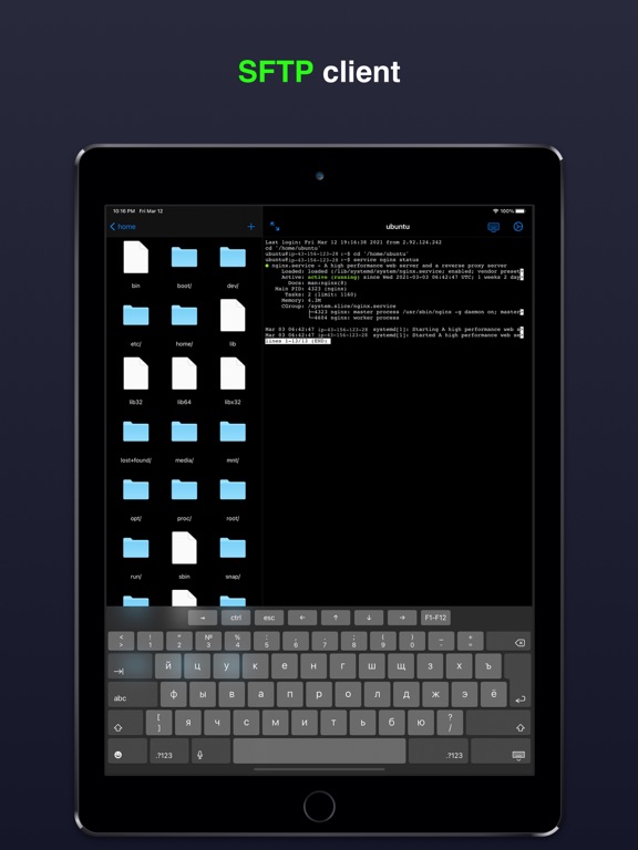 Terminal & SSH iPad 应用截图