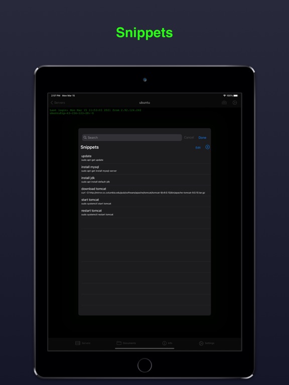 Terminal & SSH iPad 应用截图