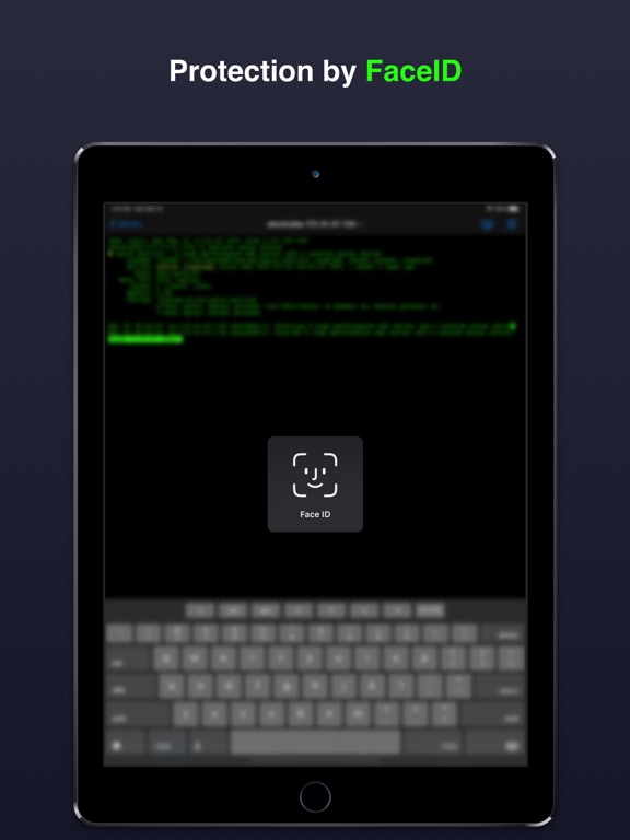 Terminal & SSH iPad 应用截图