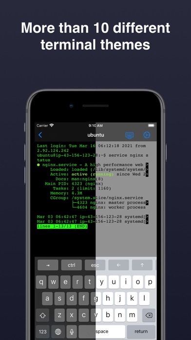 Terminal & SSH应用截图