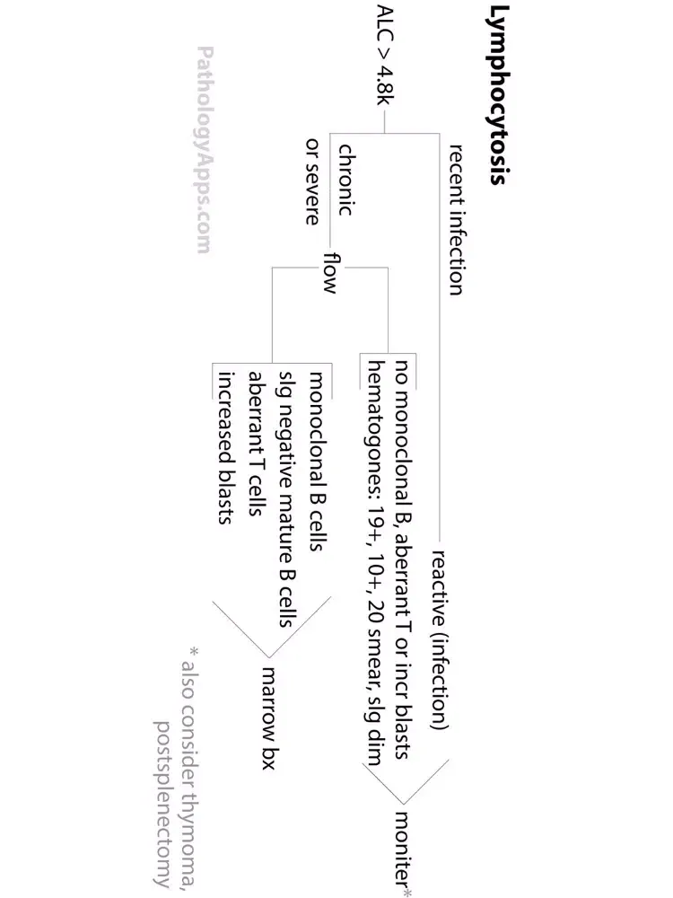 تصاویر Hematopathology iPad 