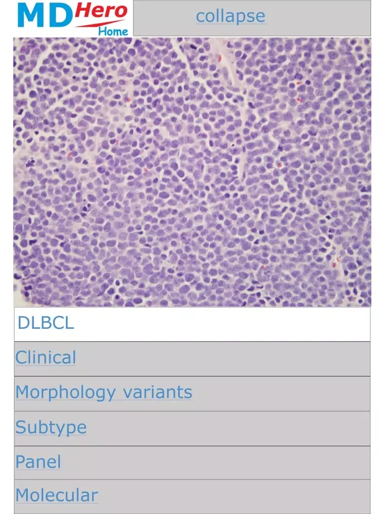 تصاویر Hematopathology iPad 