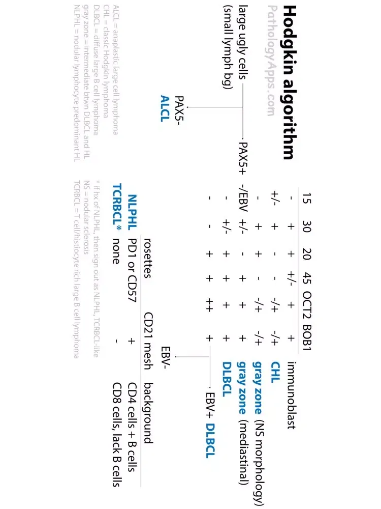 تصاویر Hematopathology iPad 