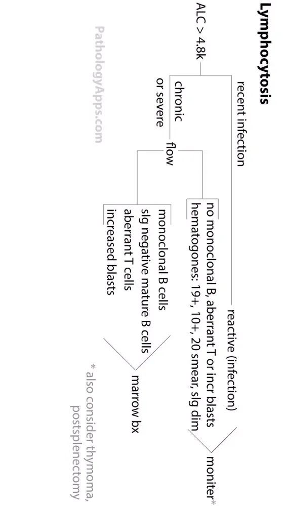 تصاویر Hematopathology