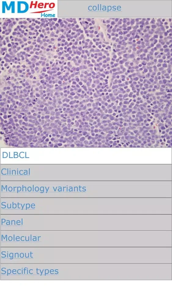 تصاویر Hematopathology