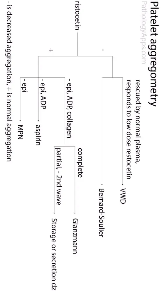 تصاویر Hematopathology