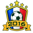 Euro 2016 Manager