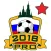 Soccer Winner Coach 2018 Pro