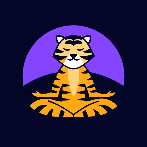 Meditate Reflect Stream