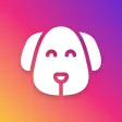 Dog Care Guide: Pup Tips & Fun