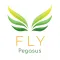 Pegasus FLY