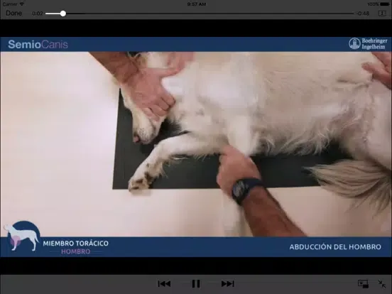Ảnh chụp màn hình của SemioCanis iPad 
