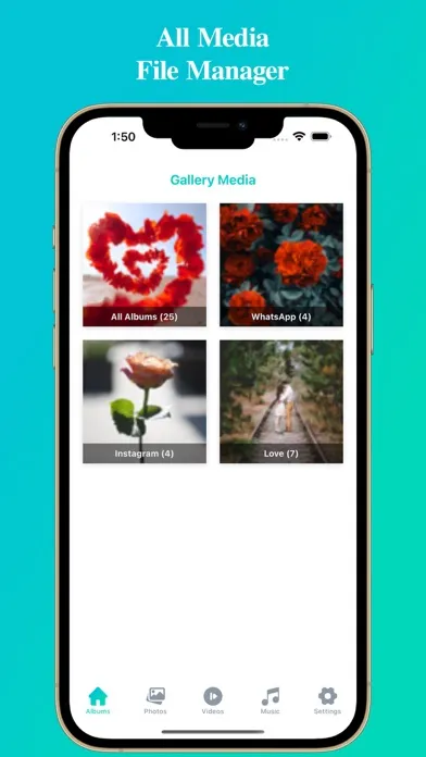Tangkapan layar All Media File Manager