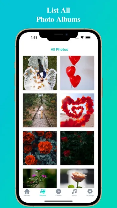 Tangkapan layar All Media File Manager