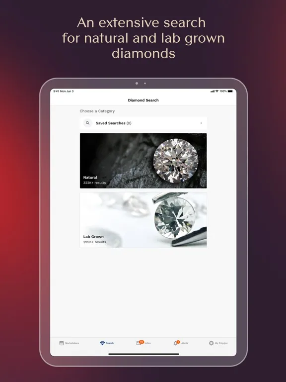 تصاویر Polygon Jewelers iPad 
