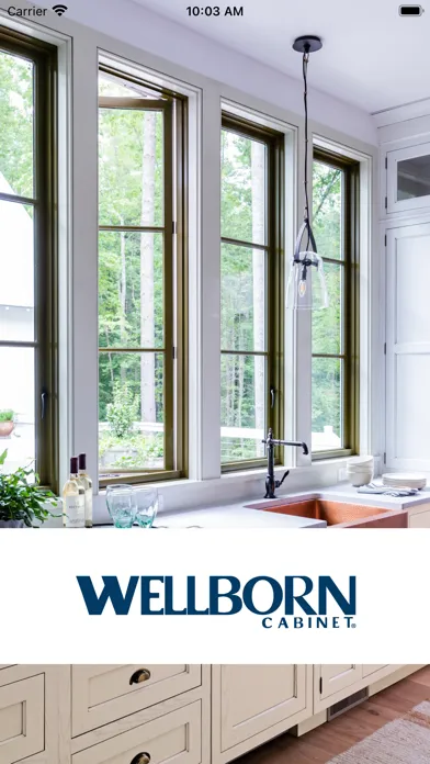 Capturas de pantalla de Wellborn Cabinet Inc Brochures