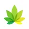 IndicaOnline