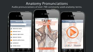 Скриншоты Anatomy Pronunciations Lite