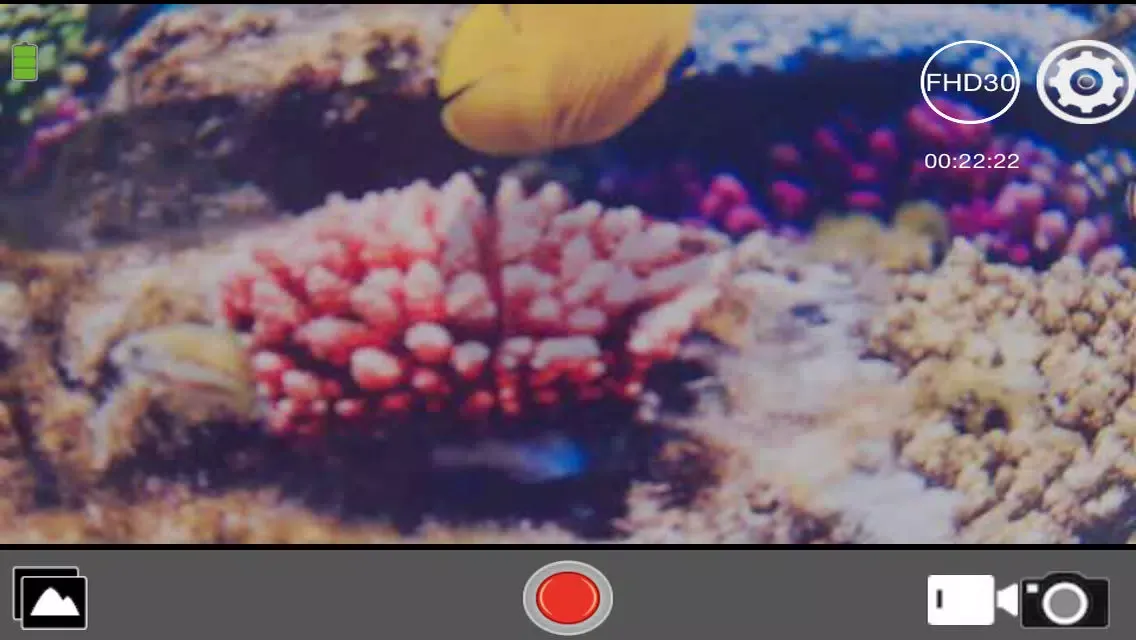 تصاویر MEDION Action View 2