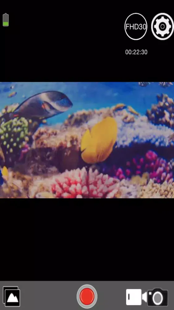 تصاویر MEDION Action View 2