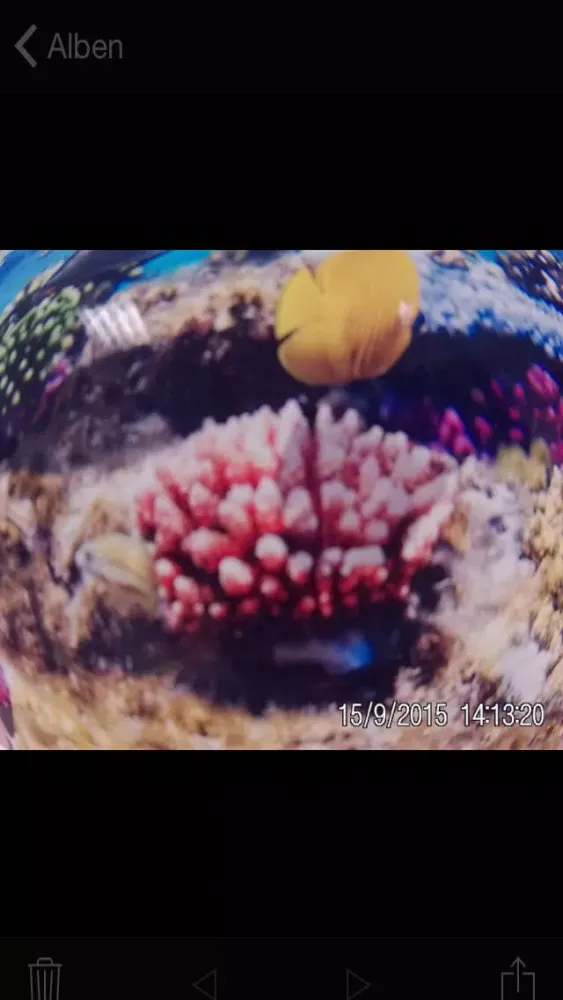 تصاویر MEDION Action View 2