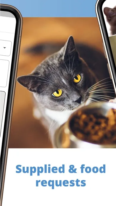 تصاویر myBuddy pet app®