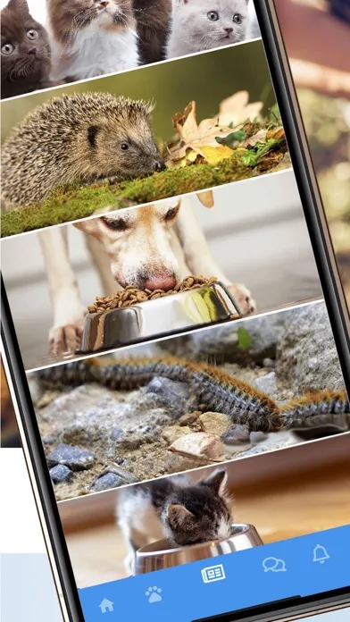 تصاویر myBuddy pet app®