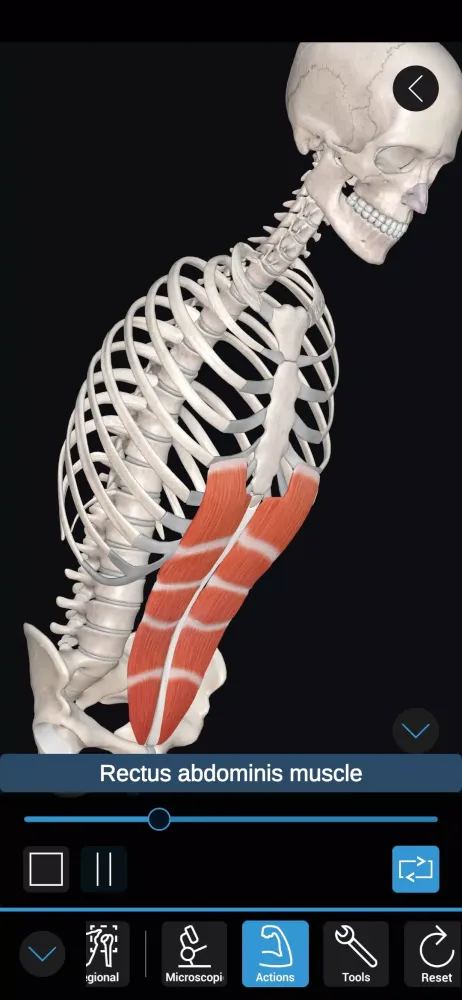 3D Organon应用截图