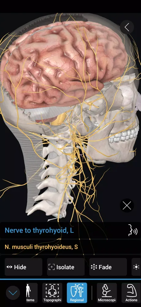 3D Organon应用截图