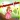 Jeux de Princesse Run 2016