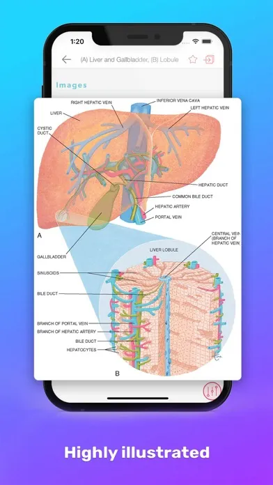 Nursing Constellation Plus+ Ekran Görüntüleri