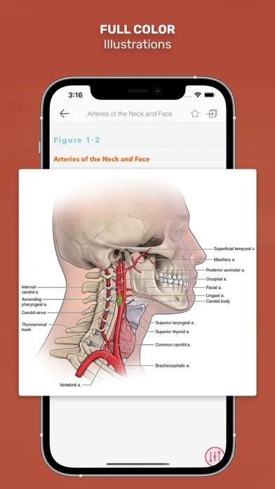 CURRENT Dx Tx Otolaryngology سکرین شاٹس