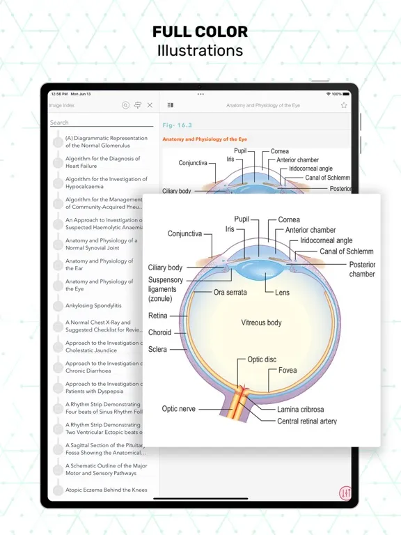 Capturas de tela do Essentials Clinical Medicine iPad 