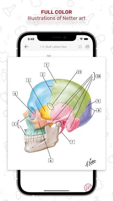 Screenshot di Netters Anatomy Flash Cards