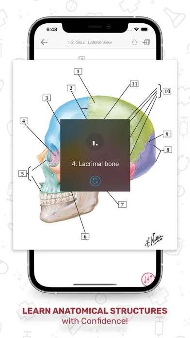 Screenshot di Netters Anatomy Flash Cards