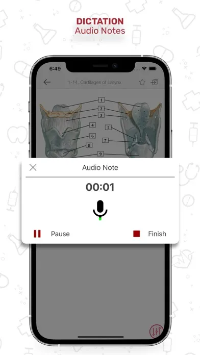 Screenshot di Netters Anatomy Flash Cards