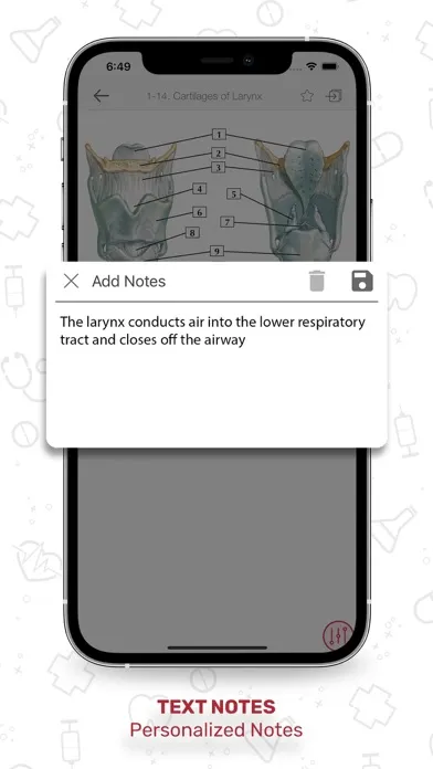 Screenshot di Netters Anatomy Flash Cards
