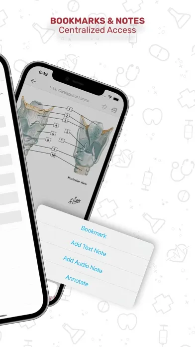 Screenshot di Netters Anatomy Flash Cards
