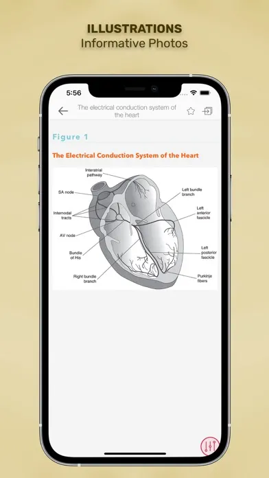 Screenshot di Diseases & Disorders: Nursing