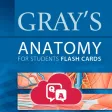 Gray's Anatomy Audio Hot Spots