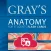 Gray's Anatomy Audio Hot Spots