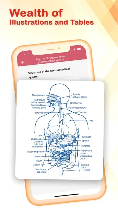 Ảnh chụp màn hình của PASS CCRN®!