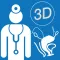 Pelvic Floor 3D