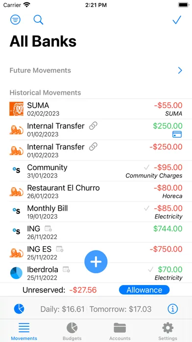 Screenshot di Budgets - Personal Finances