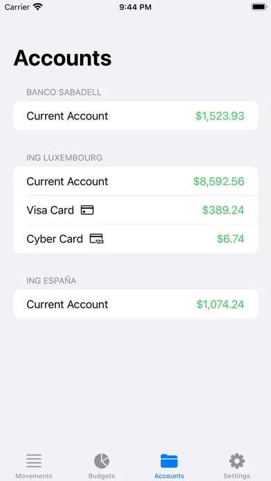 Screenshot di Budgets - Personal Finances